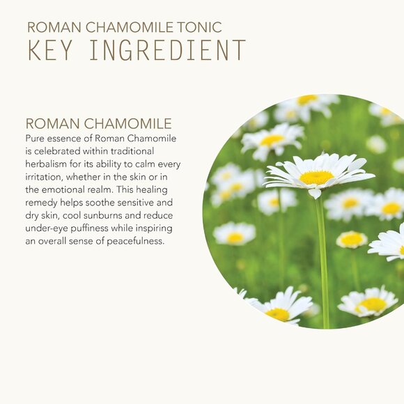 Tammy Fender - Roman Chamomile Tonic Face Toner | Natural, Organic, Cruelty Free - Picture 3 of 6